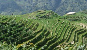Ultraculture | Renewable Energy