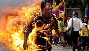 tibet self immolation