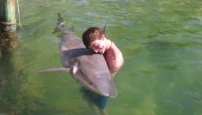 Shark Hug