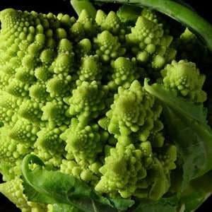 Chaos Magick Fractal Broccoli