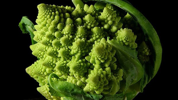Chaos Magick Fractal Broccoli
