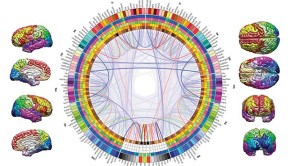 The Eight-Circuit Model of Consciousness