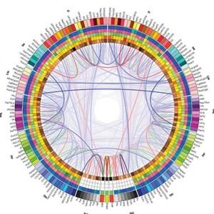 The Eight-Circuit Model of Consciousness