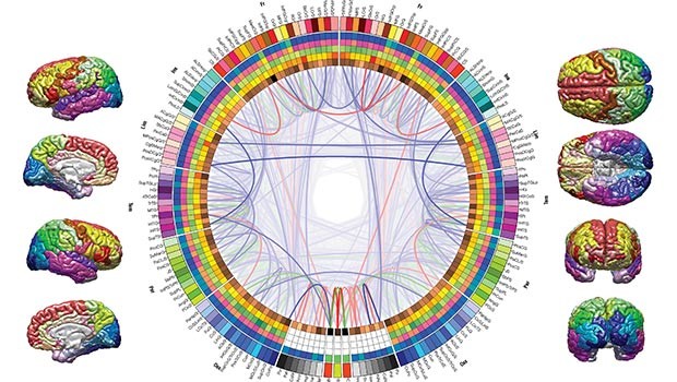 The Eight-Circuit Model of Consciousness