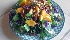 Awesome Dish Made From Wild Food