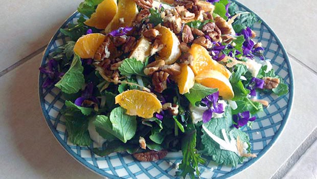 Awesome Dish Made From Wild Food