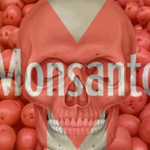 Monsanto GMO Genocide