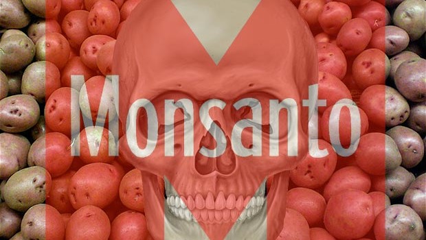 Monsanto GMO Genocide