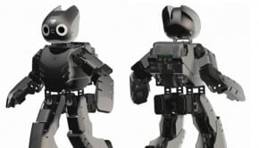 Rapyuta, the Cloud Mind for Robots