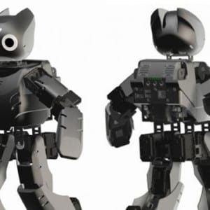 Rapyuta, the Cloud Mind for Robots