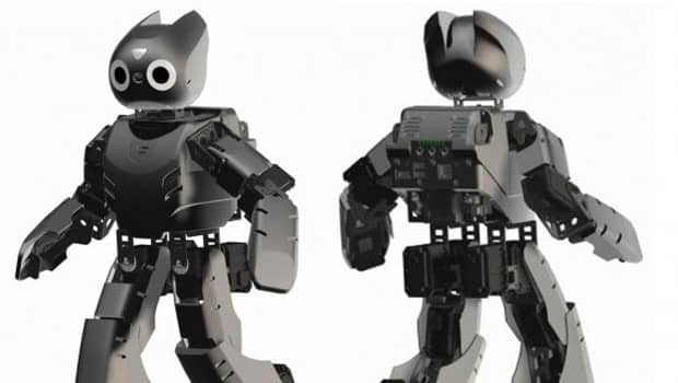 Rapyuta, the Cloud Mind for Robots