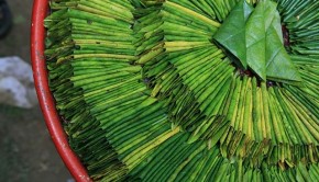 Paan, Betel Nut