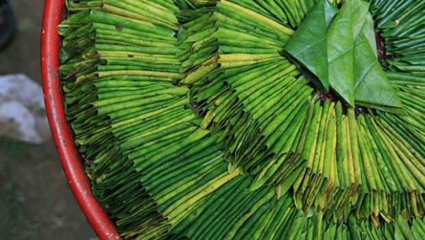 Paan, Betel Nut