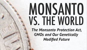 Monsanto vs. the World: The Monsanto Protection Act, GMOs and Our Future