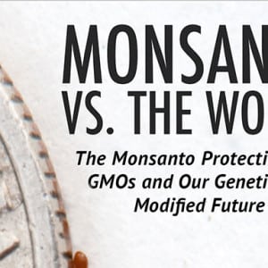 Monsanto vs. the World: The Monsanto Protection Act, GMOs and Our Future