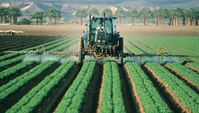 Man Spraying Monsanto's Roundup Herbicide (Glyphosate)
