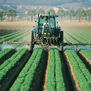 Man Spraying Monsanto's Roundup Herbicide (Glyphosate)