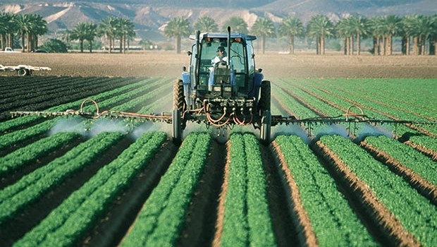 Man Spraying Monsanto's Roundup Herbicide (Glyphosate)