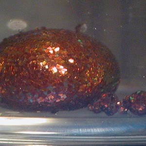 Smart Dust, Nanotechnology Computer